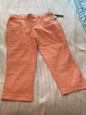 NWT Size 16 Women's Peach Chinos by Violets & Roses